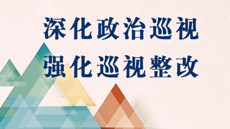 强化政治担当 坚持标本兼治