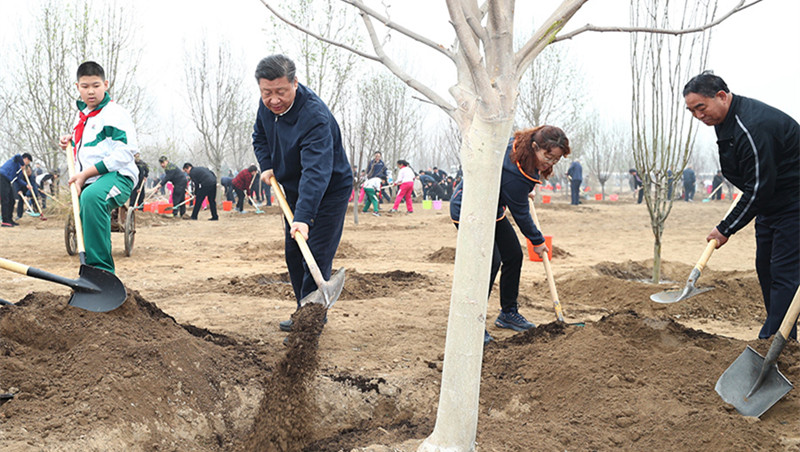 习近平：像对待生命一样对待生态环境 