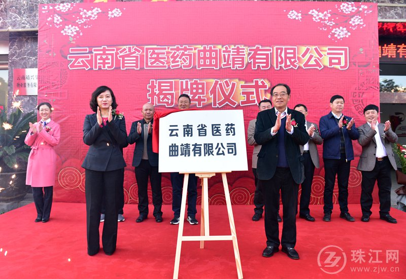 云南省医药曲靖有限公司揭牌成立 打造曲靖医药流通行业新标杆