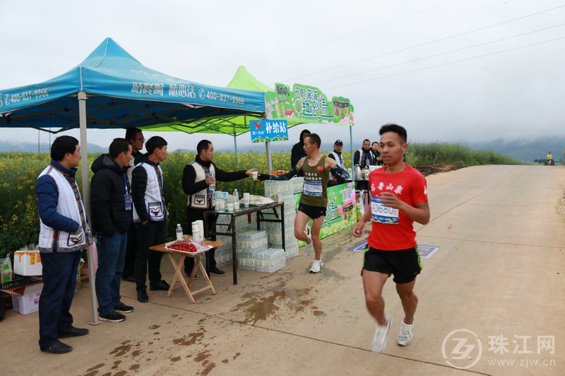 罗平县阿岗镇20余名志愿者完成2019中国罗平国际花海马拉松志愿服务