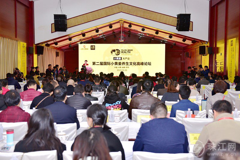 小黄姜大产业 第二届国际小黄姜养生文化高峰论坛在罗平举行