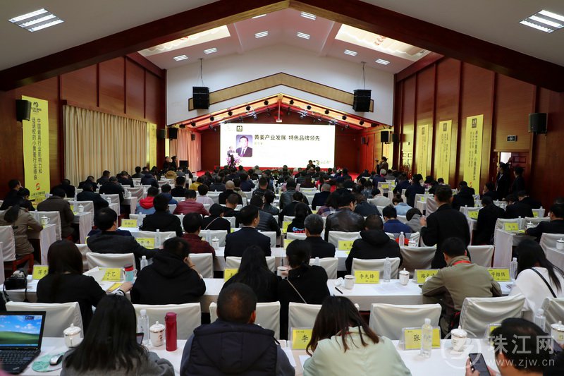 第二届国际小黄姜养生文化高峰论坛在罗平圆满落幕
