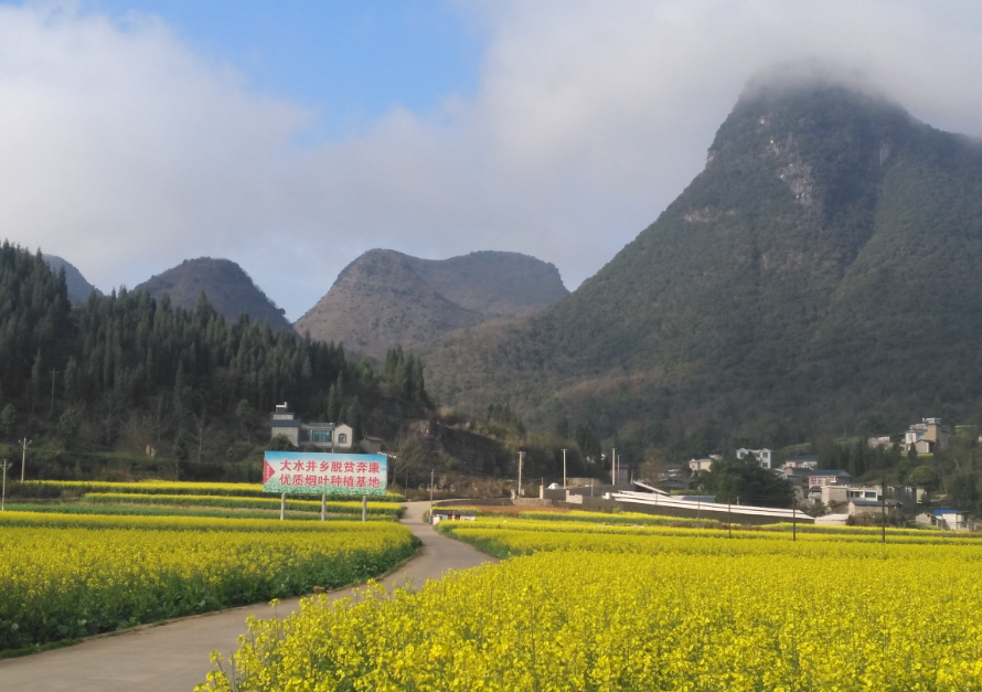 罗平县农村公路建设助力精准扶贫