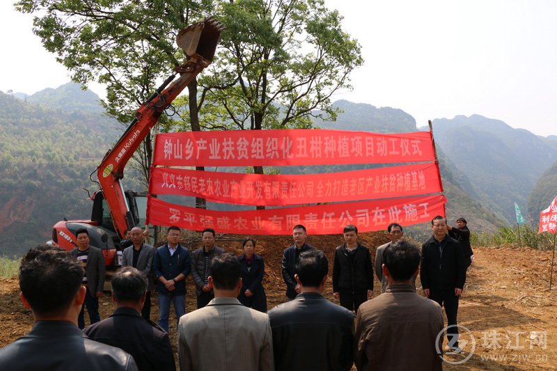 提高“三个组织化”推进产业扶贫——钟山乡举行丑柑种植产业开工仪式