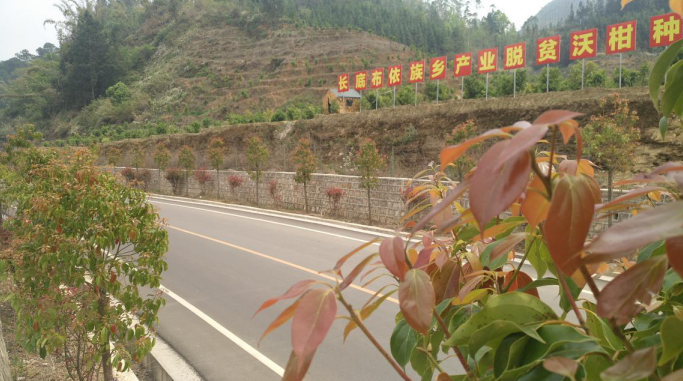 罗平县全力打造美丽经济交通走廊