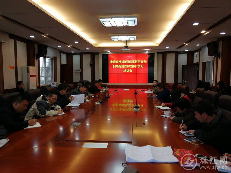 曲靖市生态环境局罗平分局多渠道开展扫黑除恶专项斗争宣传教育