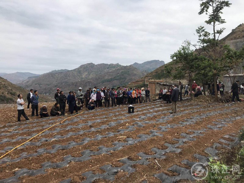 双河乡开展辣椒种植、花椒管理技术培训