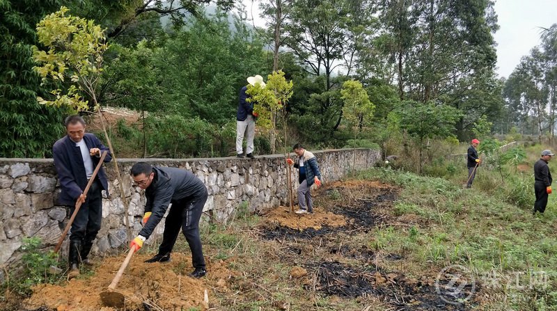 罗平开展“保护水源，美化环境”志愿者义务植树活动