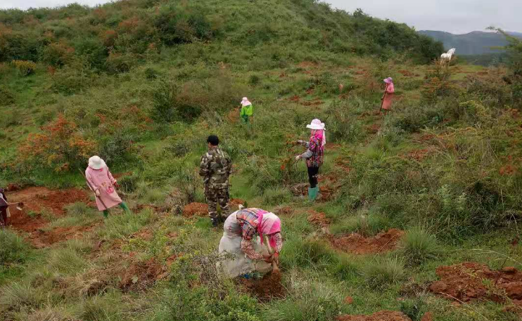 马龙区张安屯街道务工增收有“车间”