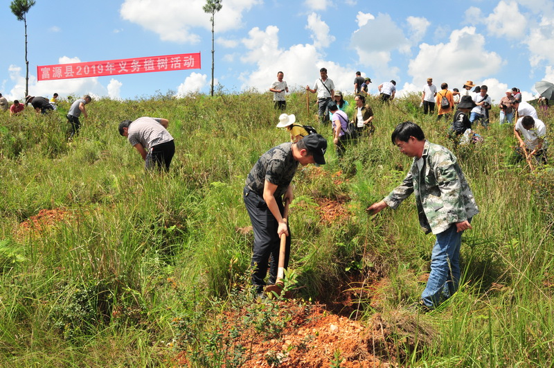 图片4：栽植现场.JPG