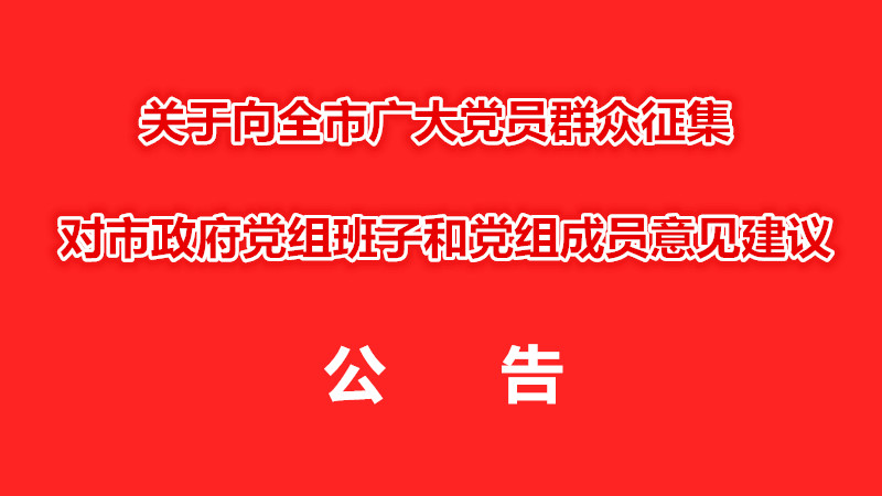 关于向全市广大党员群众征集对市政府党组班子和党组成员意见建议的公告