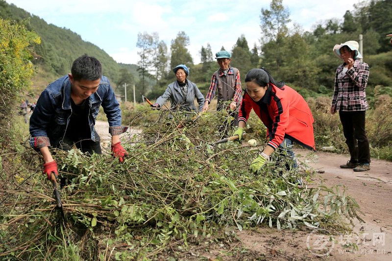 陈黎维在与群众一起清理路沿1.jpg