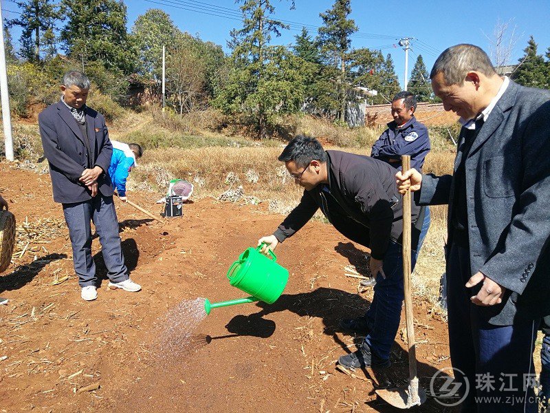 辣椒种植现场推进会2.jpg