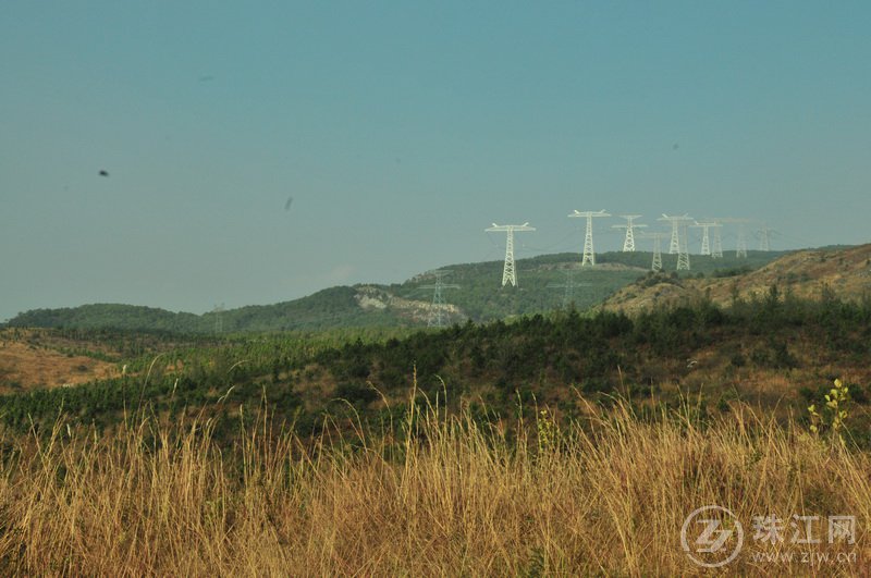 富源县政协对县林业和草原局开展民主评议实地调研