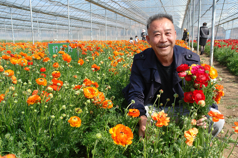 宝云街道：花卉绽放惹人醉　游人相约赏花来