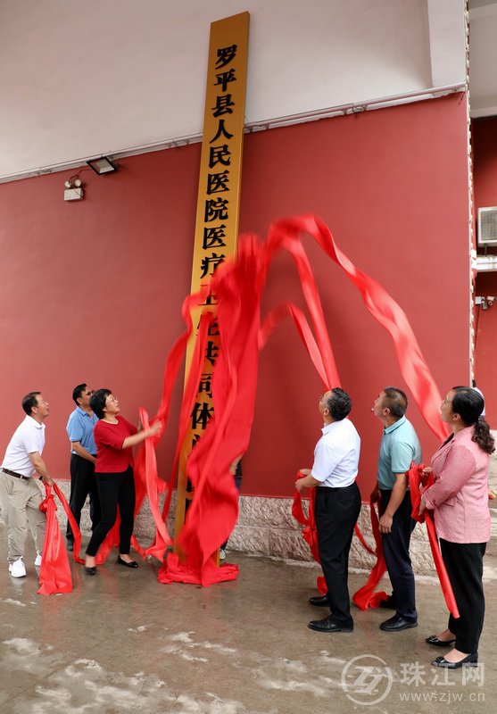 罗平县医疗卫生共体正式挂牌成立