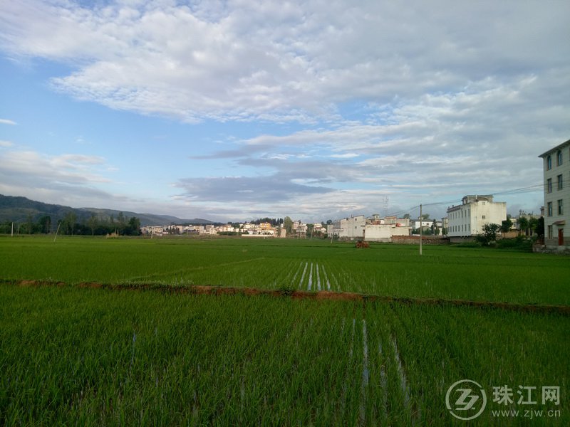 马龙区张安屯街道:田园风光入画来