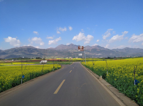 罗平县向纵深推进“美丽公路”创建