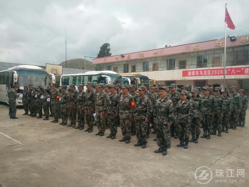 马龙区张安屯街道圆满完成市军分区民兵整组点验展风采