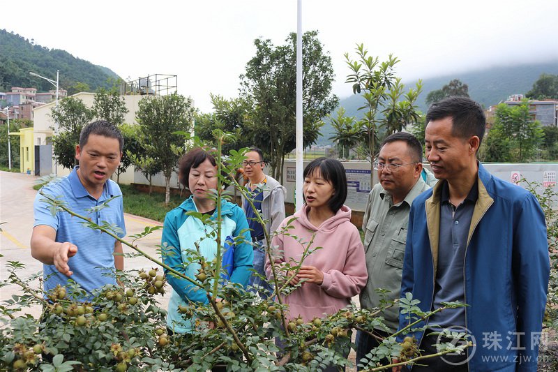 云南省中烟公司检查组到宣威市海岱镇检查援建项目建设情况