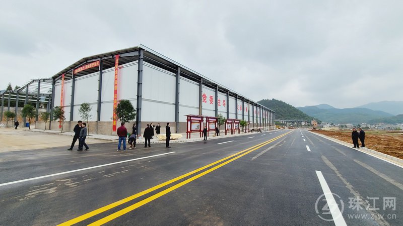 罗平板桥镇：冷链物流中心建设推动小黄姜产业高质量发展