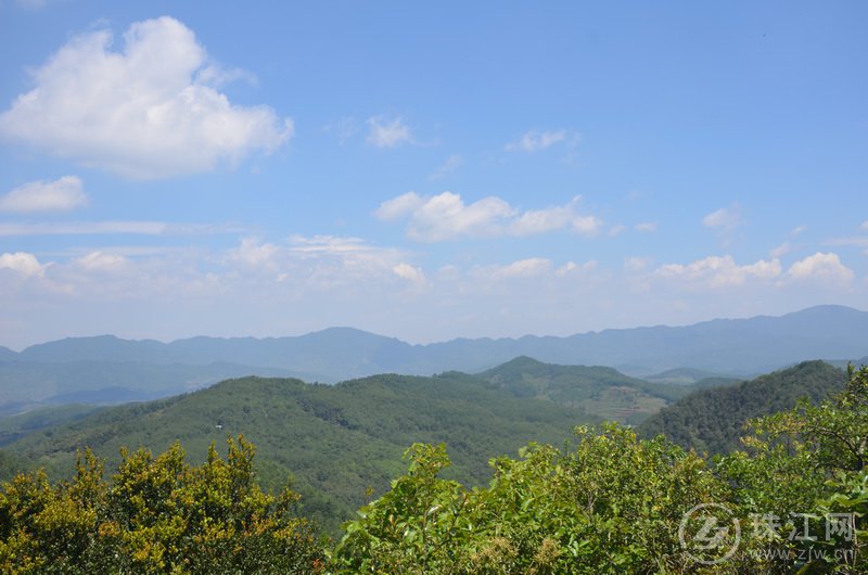 麒麟东山：绿水青山间的煤炭守护者——胡克柱