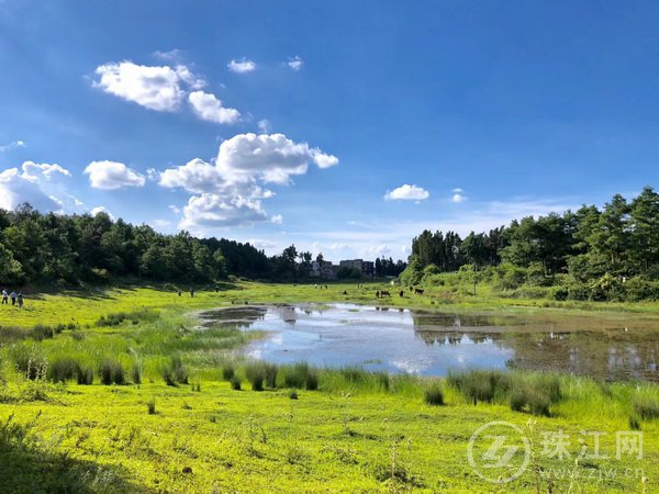 绘美丽长坡新景 谱美好乡村乐章 