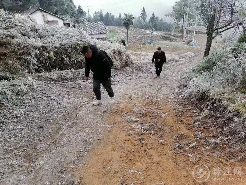 普查一线践使命   坚守岗位显担当——雨碌乡脱贫攻坚普查记