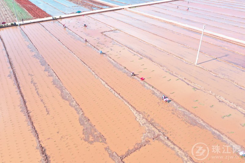 ​马龙方郎村：人勤、地肥、农资足，春耕备耕迎来新希望