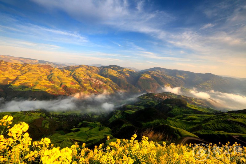 马街云上花梯革岗观花区-罗坤.jpg