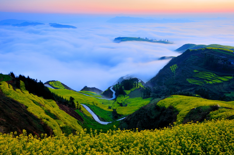 马街云上花梯革岗观花区-毛虹.jpg