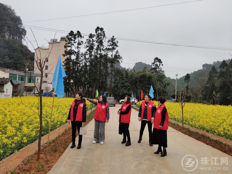 罗平县板桥镇：巾帼志愿团   助力乡村旅游发展