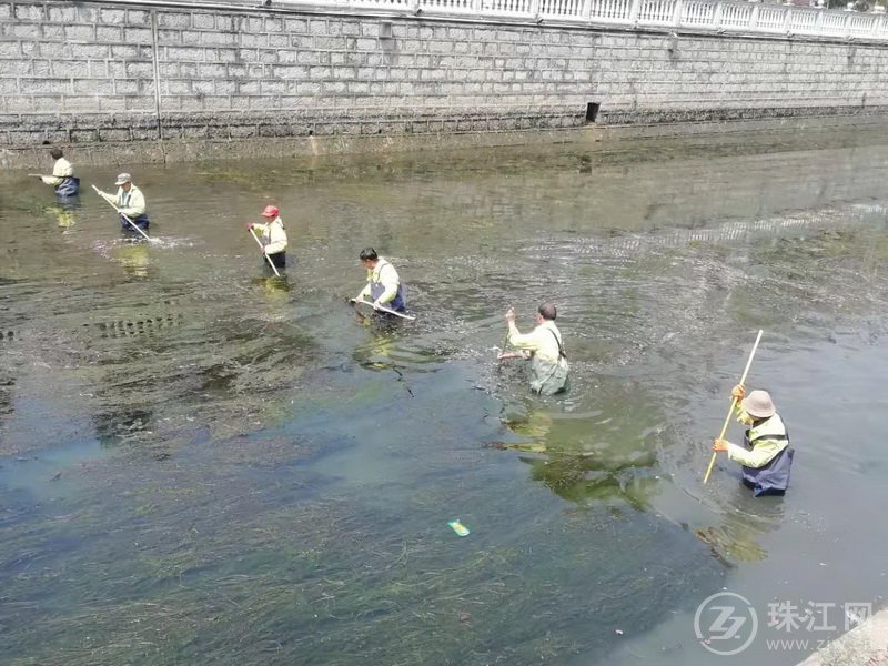 马龙环卫工人正在打捞马龙河道内水草4.jpg