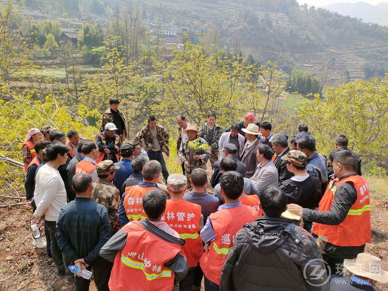 宣威双河乡：核桃提质增效技术培训助力乡村产业发展