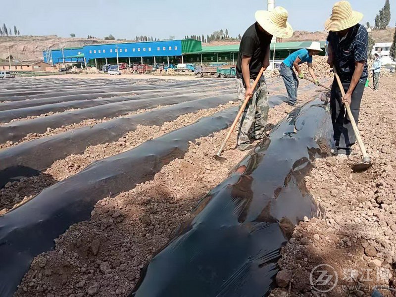 翠峰街道全力抗旱保民生保农业生产