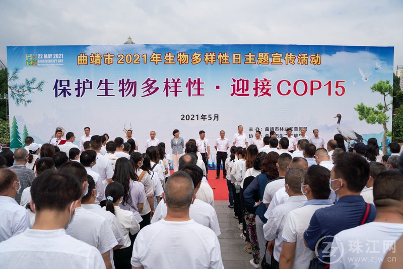 【喜迎COP15】曲靖市开展2021年国际生物多样性日专题宣传活动