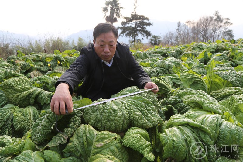 陈兴片：我不会忘记……