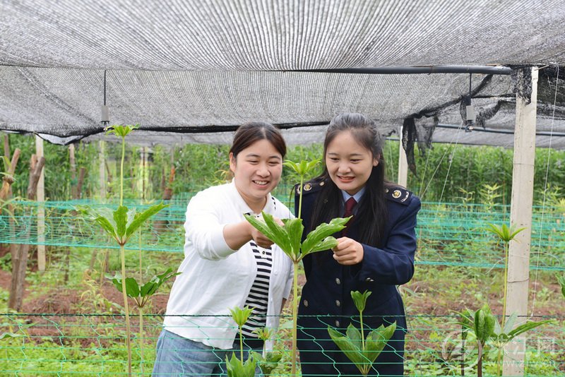 宣威税务：税务“春雨”助小微企业行稳致远