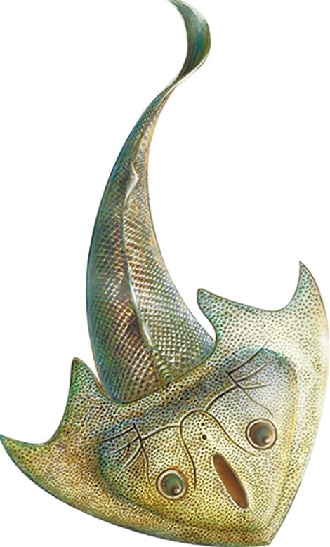 云南曲靖发现4.19亿年前三尖鱼类