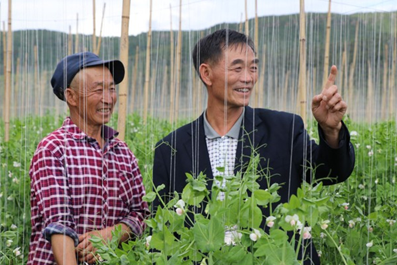 鲁金宝与豆农畅谈增收致富前景_副本.jpg