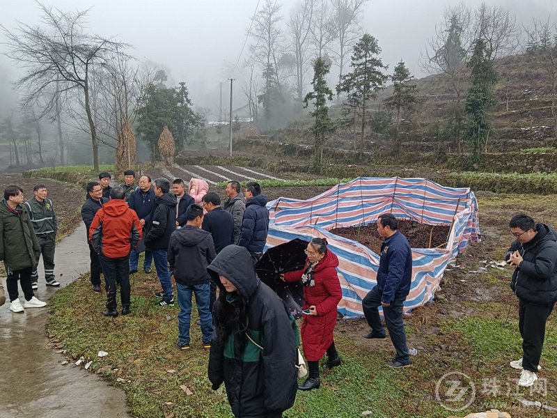 宣威市医保局赴老厂村雨调研乡村振兴工作