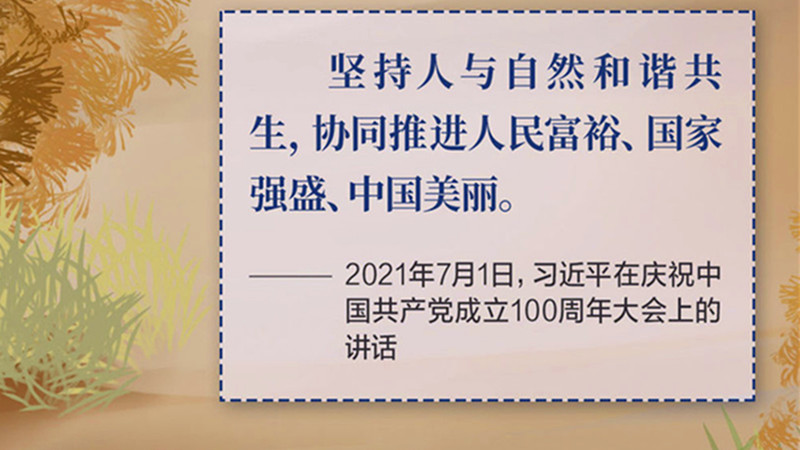 共同构建人与自然生命共同体 习近平这样论述