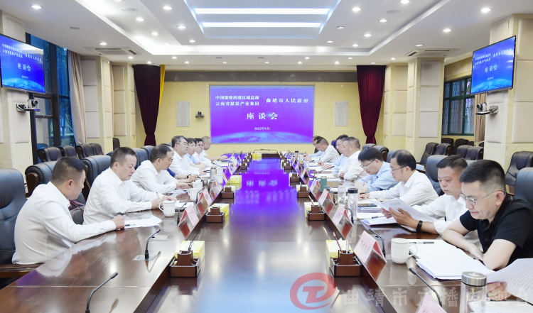 市人民政府与云煤集团、中国能建西南区域总部举行座谈