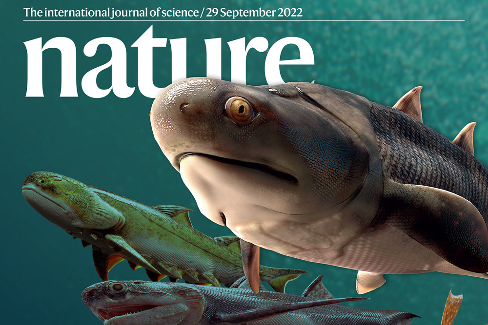 曲靖师院以第一作者单位在《Nature》同时发表3篇论文  “从鱼到人”探源研究取得重大突破