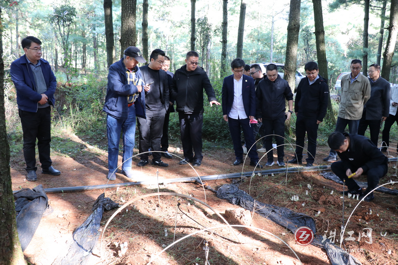 燕谷坊集团到者海镇考察产业发展情况