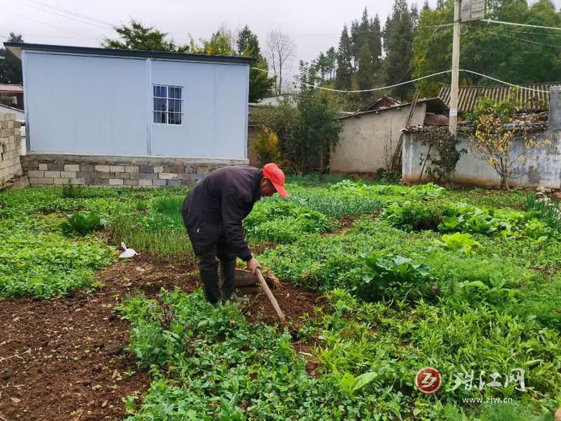 以礼街道：打造美丽菜园 扮靓乡村“容颜”