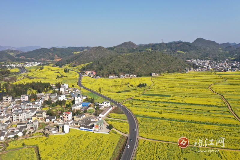 曲靖公路局绿美公路建设显成效