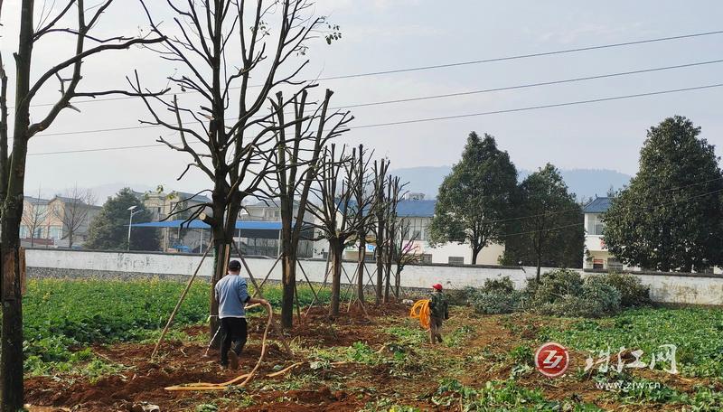 罗平县民政局开展养老服务项目建设工作检查