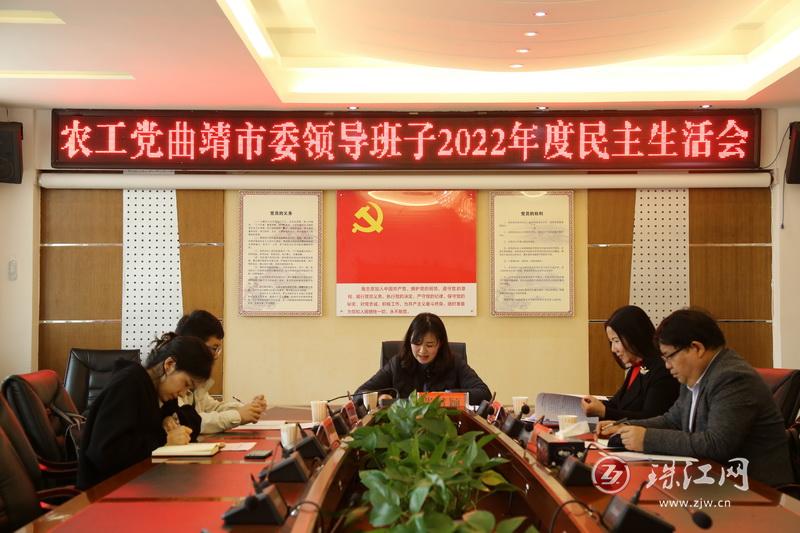 农工党曲靖市委领导班子召开民主生活会