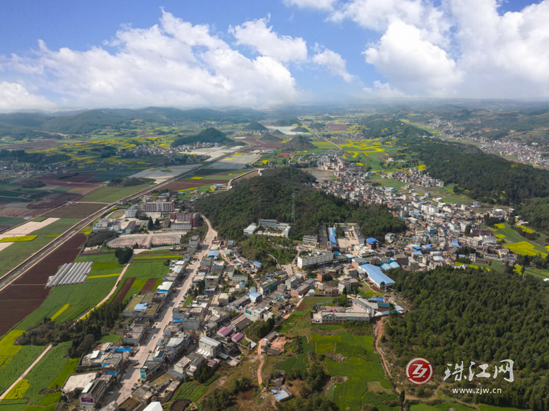 葵山镇：以村庄规划绘好乡村发展蓝图